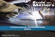 CATALOGUE FORMATION 2021 - ENDEL ENGIE