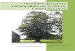 Inventaire des arbres remarquables sur la ville de Corbeil 