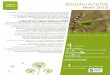 Biodiversité - Seine-et-Marne environnement