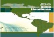 Informe Anual 2008 - Instituto Interamericano de 