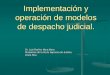 Implementación y operación de modelos de despacho judicial