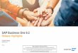 SAP Business One 9.3 Highlights - ACTRAN