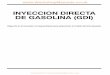 INYECCION DIRECTA DE GASOLINA (GDI)