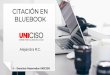 Citación en BlueBook - Portal Uniciso