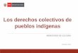 Los derechos colectivos de pueblos indígenas
