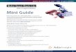 Adis Insight Edition Mini Guide - BizInt