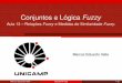 Conjuntos e Lógica Fuzzy - ime.unicamp.br