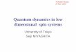 Quantum dynamics in low dimensional spin systems