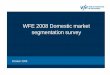 WFE 2008 Domestic market segmentation survey