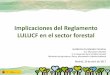 Implicaciones del Reglamento LULUCF en el sector forestal