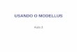USANDO O MODELLUS - UFPel