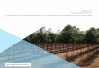 Proyecto Forestal San Pedro - Arbaro Advisors