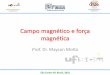 Campo magnético e força magnética - UFSCar