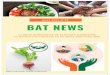 BAT News 19