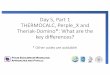 Day 5, Part 1 THERMOCALC, Perple Xand Theriak-Domino 