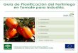 Guía de Planificación del Fertirriego en Tomate para 