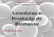 Leveduras e Produção de Biomassa - UFRJ