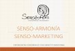 SENSO-ARMONÍA SENSO-MARKETING - ConnectAmericas