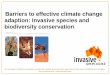 Barriers to effective climate change adaption: Invasive 