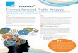 Thomas Personal Profile Analysis - echelon Consultancy