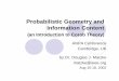 Probabilistic Geometry and Information Content