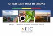 AN INVESTMENT GUIDE TO ETHIOPIA - UNIDO