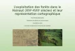 L’exploitation des forêts dans le Hainaut (XIVe-XVIIe siècles) et leur représentation cartographique