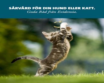 PDF) Sårvård för din hund eller katt - DOKUMEN.TIPS