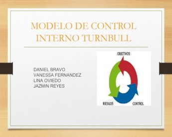 Introducir 49+ imagen modelo de control interno turnbull pdf