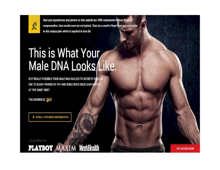PDF) Best bodybuilding workout for your male DNA looks like adonis -  DOKUMEN.TIPS