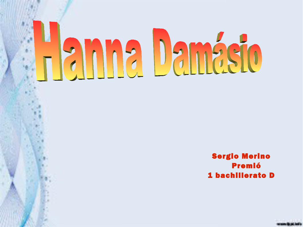 Hanna Damásio - Curriculum vitae - UOC