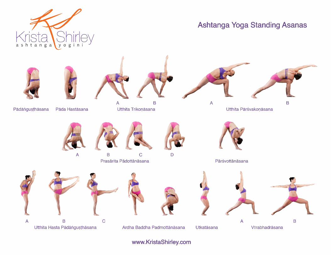 Iyengar Hatha Yoga Poses Levels 6-15 Stock Vector - Illustration of asanas,  activity: 221598724