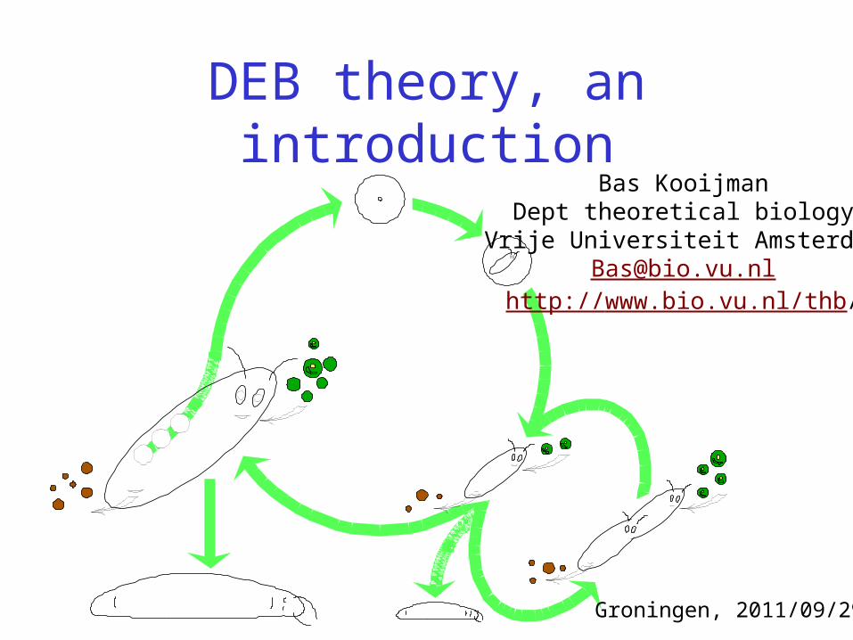 PPT) DEB theory, an introduction Bas Kooijman Dept theoretical biology  Vrije Universiteit Amsterdam Bas@bio.vu.nl - DOKUMEN.TIPS