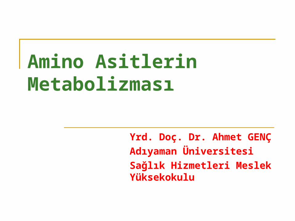 (PPT) Amino Asitlerin Metabolizması - DOKUMEN.TIPS
