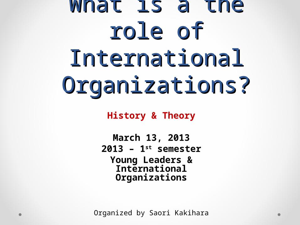 PPT) What is a the role of International Organizations? - DOKUMEN.TIPS