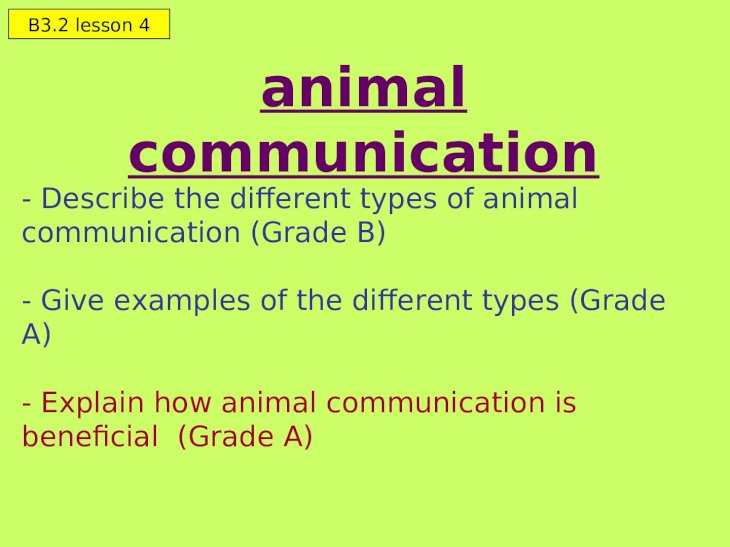 PPT) animal communication 