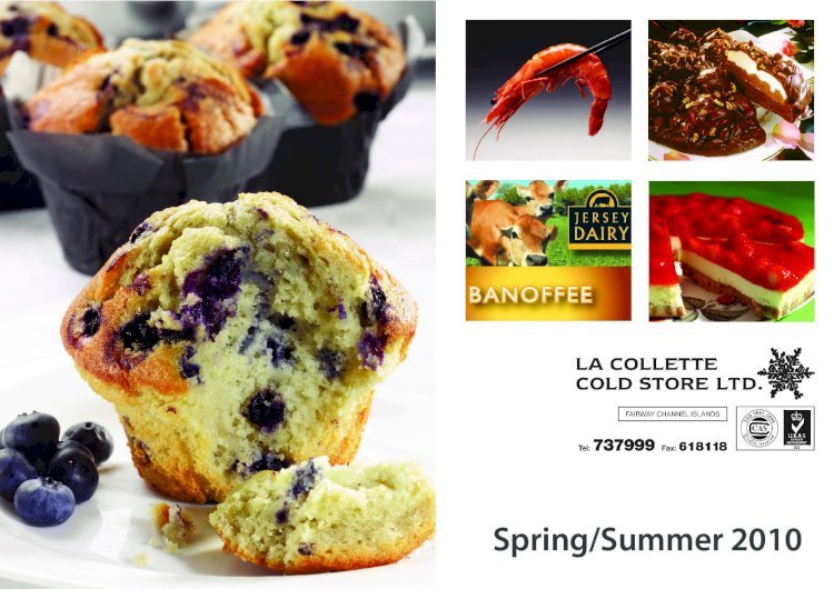 PDF) Lacollette Frozen Brochure Spring Summer 2010 - DOKUMEN.TIPS