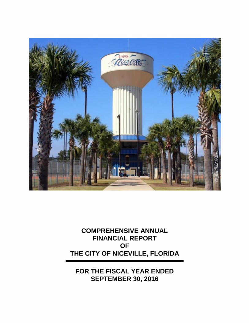 pdf-comprehensive-annual-financial-report-of-the-city-of-rpts