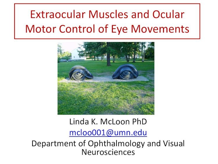 (PDF) Control of Eye Movements - University of Minnesotamcloonlab ...