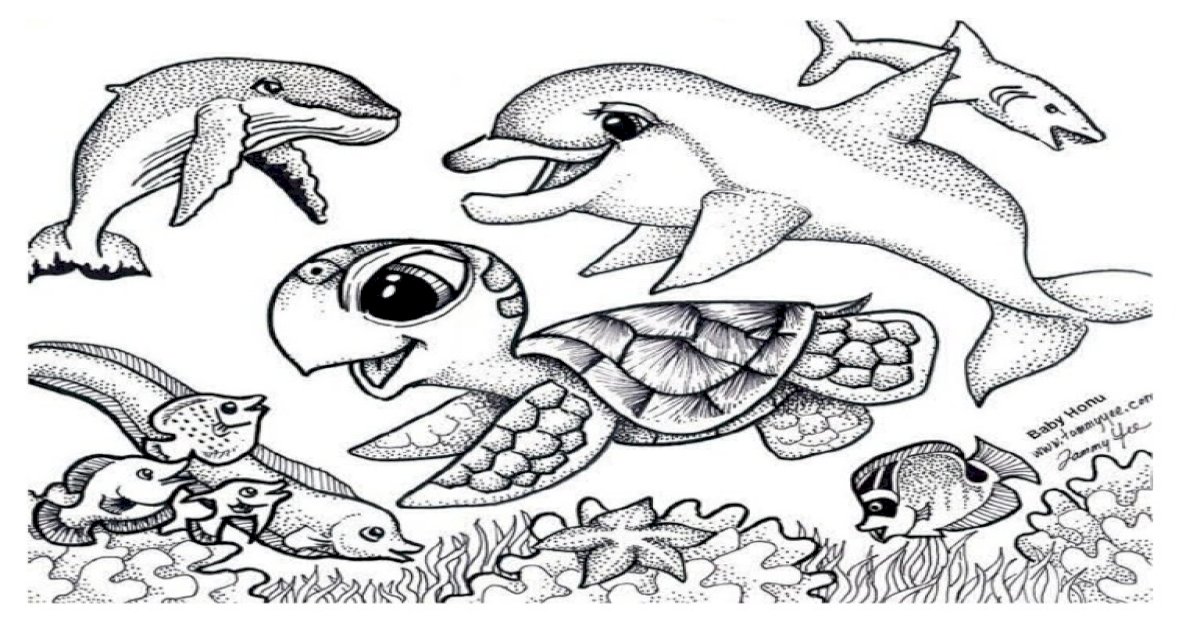 Imej Hidupan Laut - Hari Lautan Sedunia Ikan Haiwan Laut gambar unduh