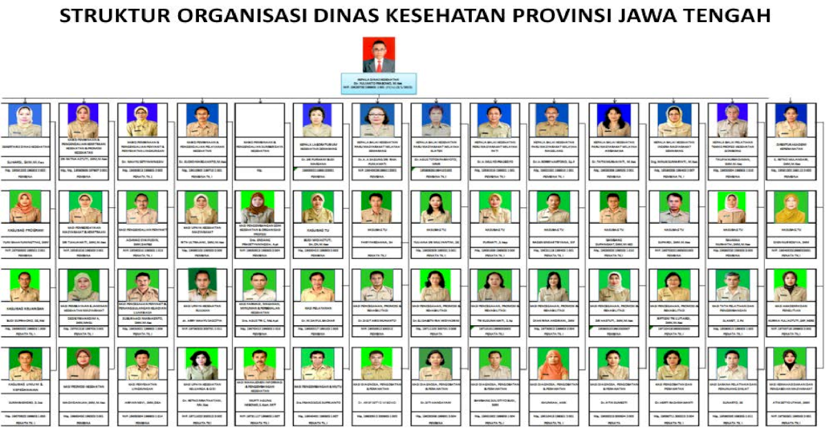 Struktur Organisasi Dinas Kesehatan Provinsi Jawa